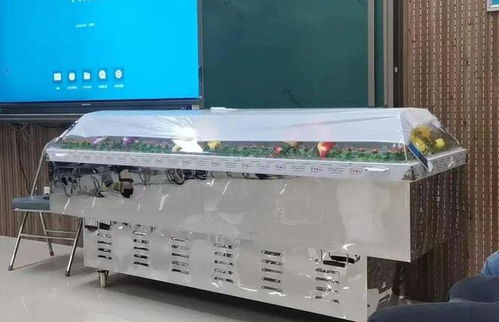 跨界融合 從殯葬專業(yè)到計(jì)算機(jī)批發(fā)，膽識鋪就多元職業(yè)路